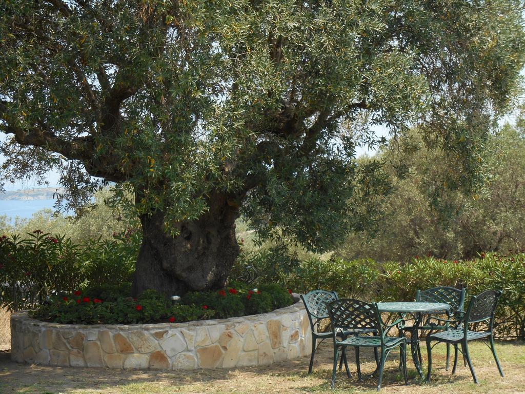 Heliactida House Villa Ormos Panagias Exteriör bild